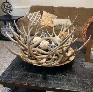 Meet your Posher, Lucas